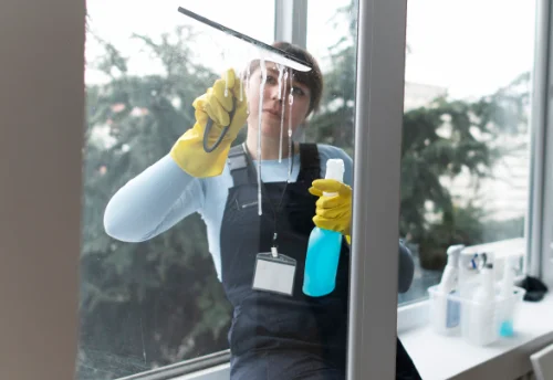 Nettoyage de vitres intérieures et extérieures à Banize